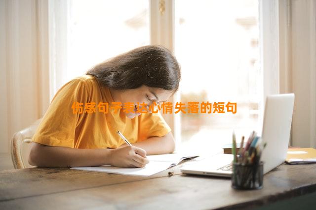 伤感句子表达心情失落的短句