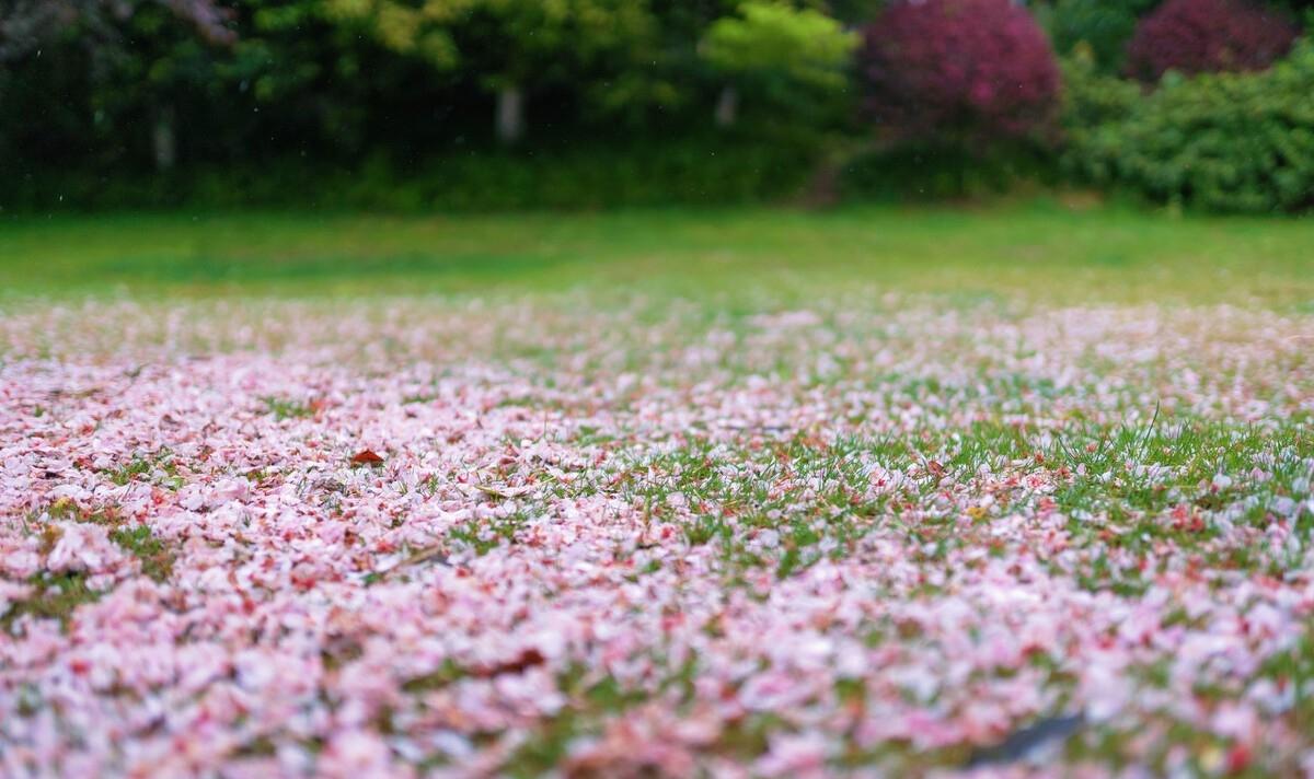 春分春雨古诗