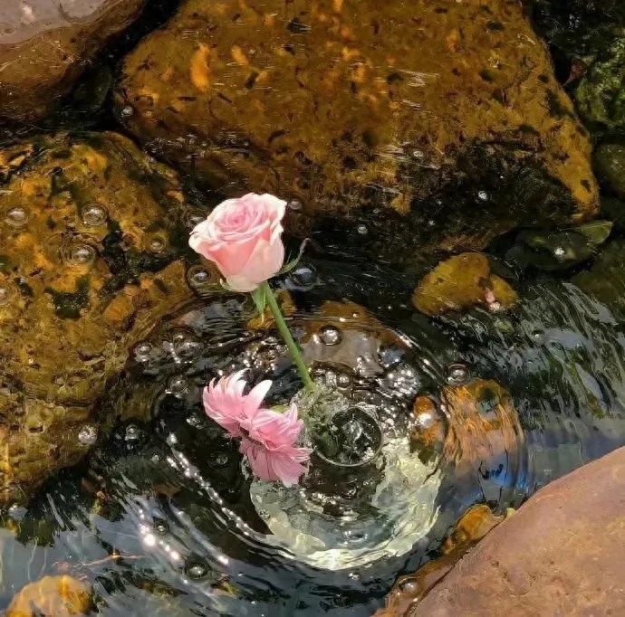 教师节的高级祝福语