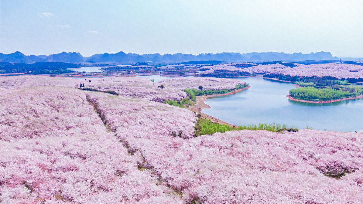 十首桃花诗