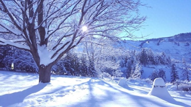 描写冬雪的优美句子摘抄简短