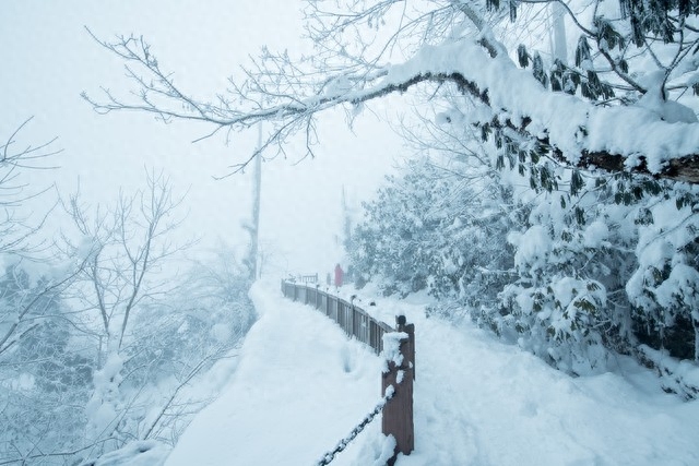 描写冬雪的优美句子摘抄简短