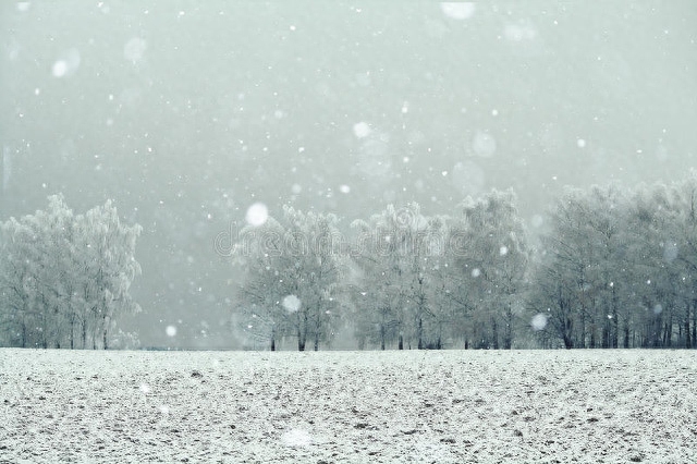 描写冬雪的优美句子摘抄简短