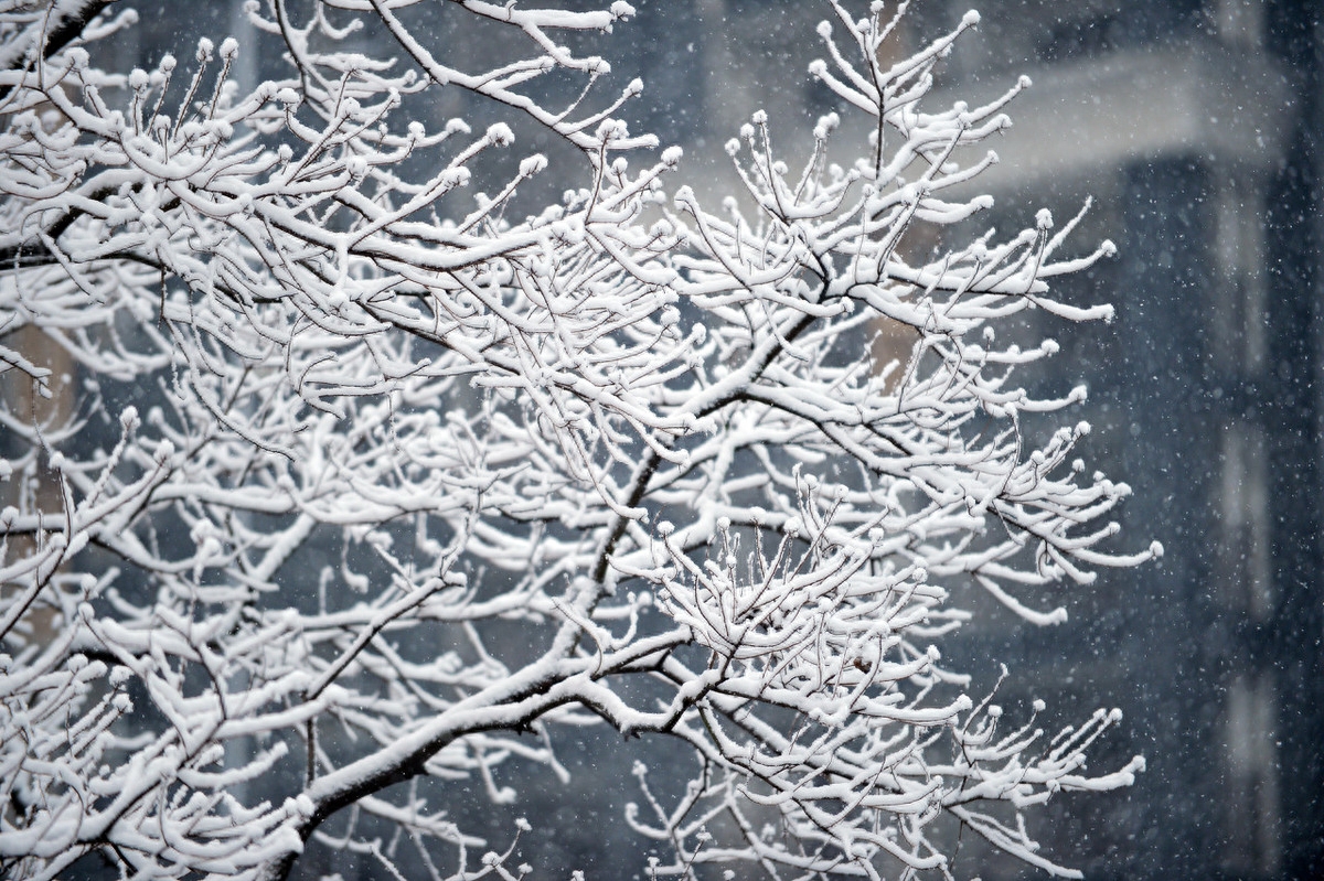 晶莹剔透的雪景诗歌