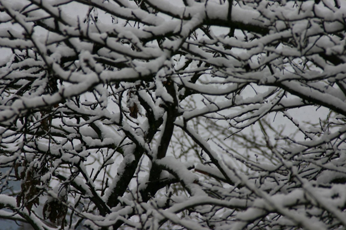 晶莹剔透的雪景诗歌