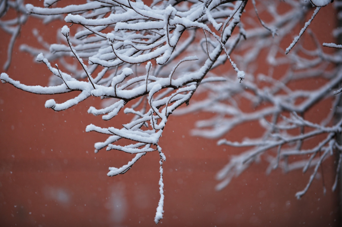 晶莹剔透的雪景诗歌