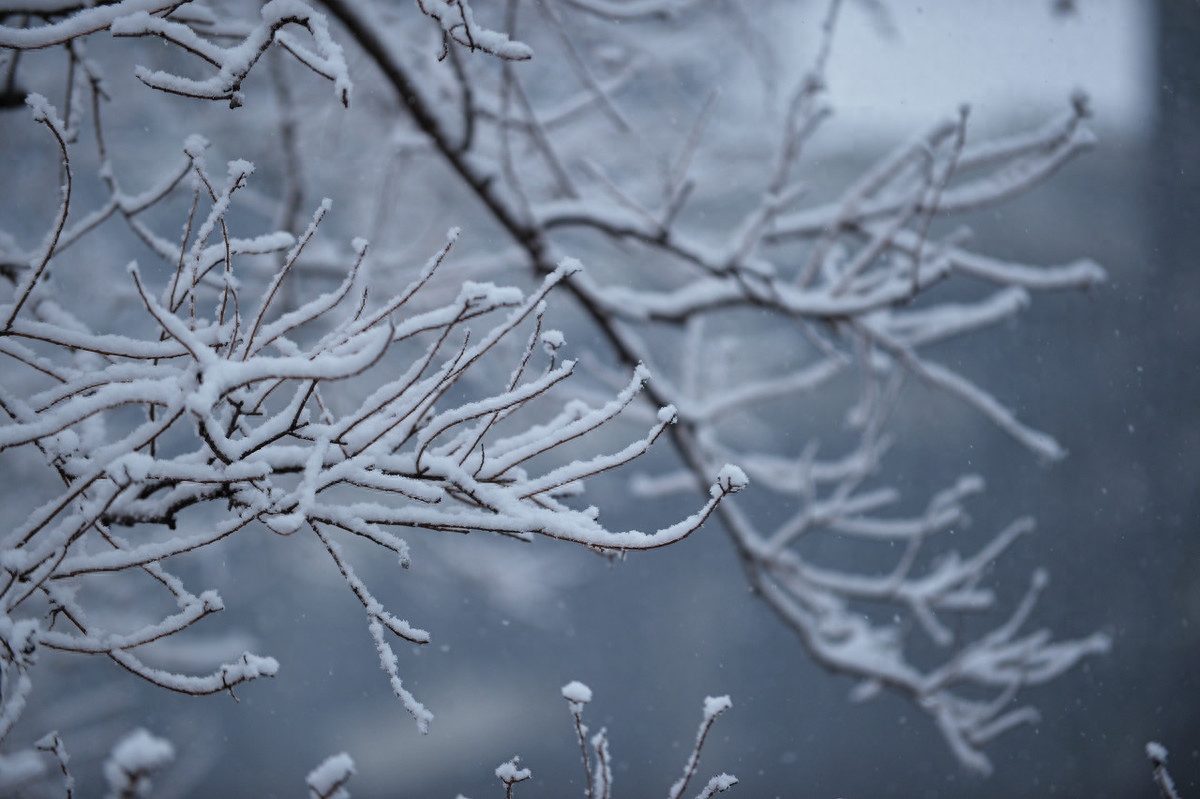 晶莹剔透的雪景诗歌