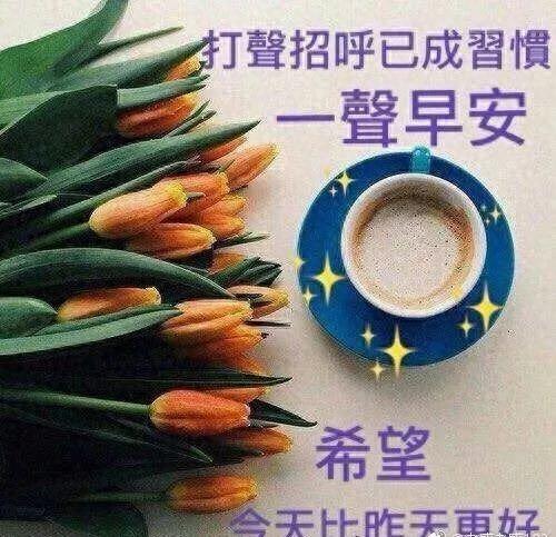 早安问候的暖心句子