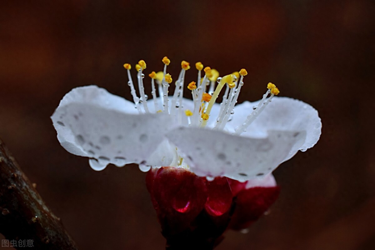 雨的经典诗词