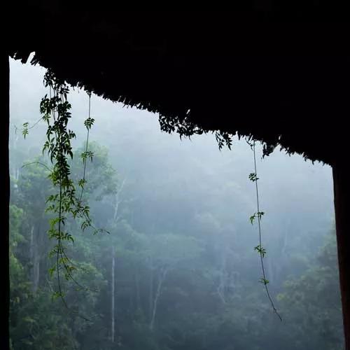 秋雨古诗鉴赏