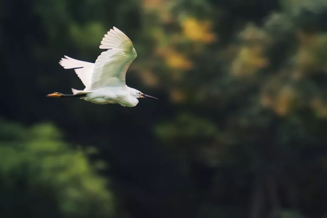 经典古诗词短句68条，助你写出漂亮的年终总结