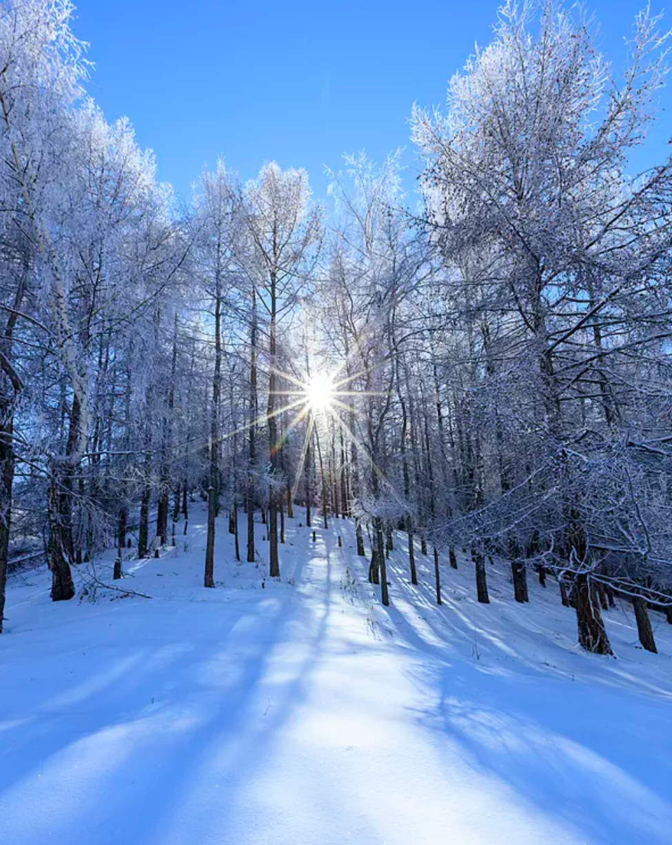 描写雪后景的唯美诗句