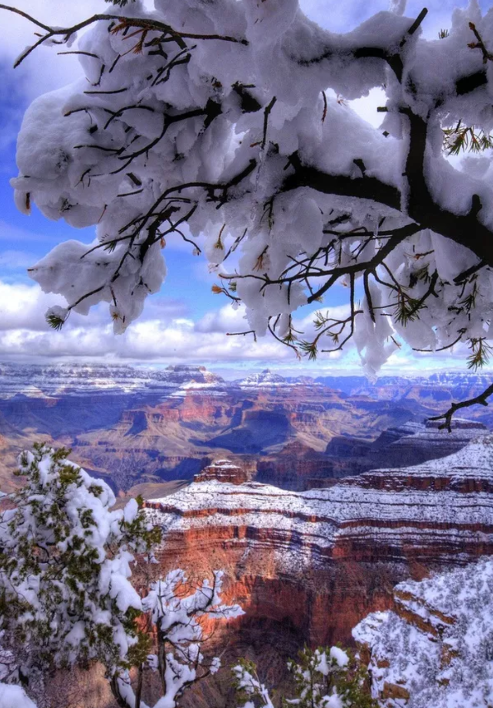 描写雪后景的唯美诗句