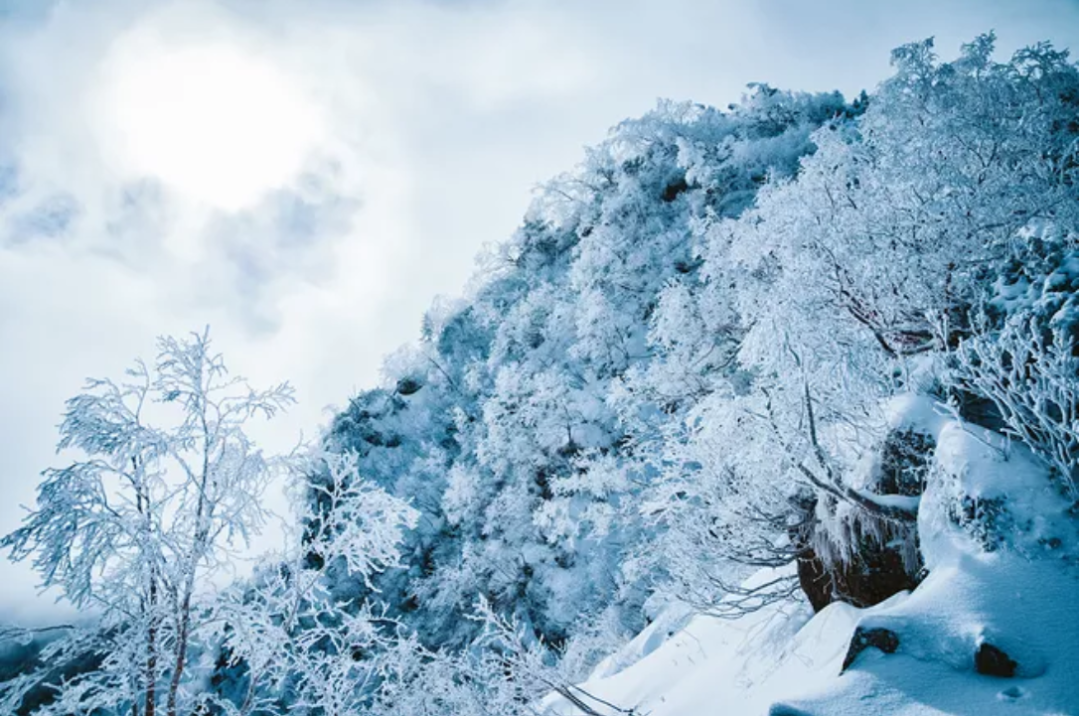 描写雪后景的唯美诗句