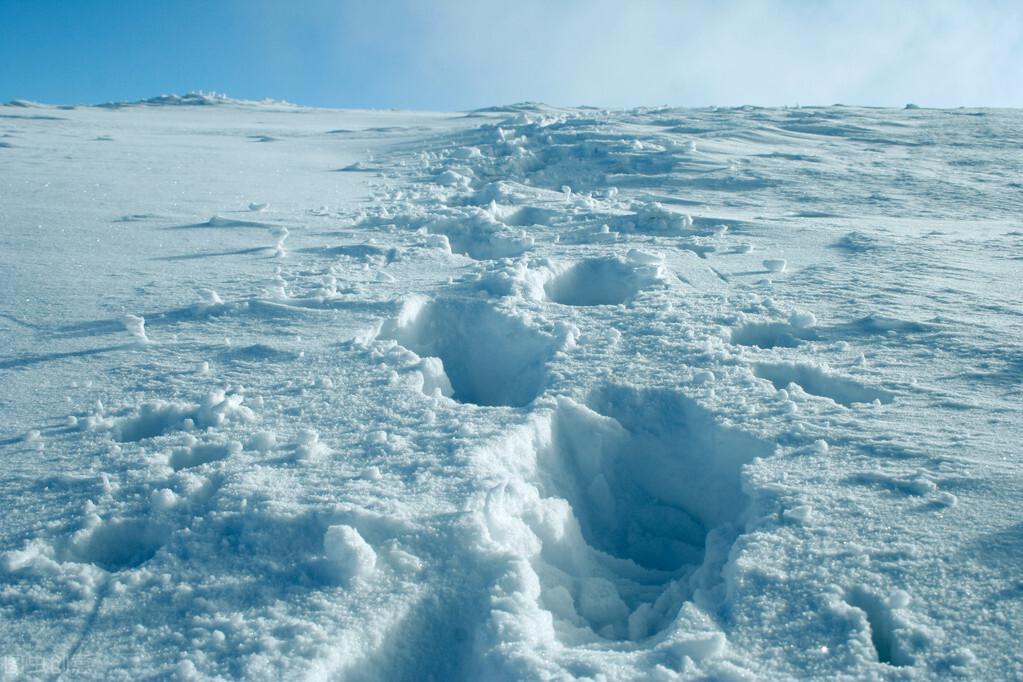 统编教材雪地里的小画家课文解读