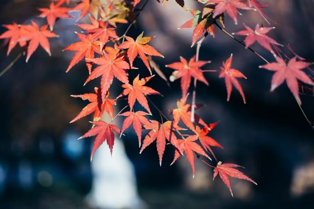 微风、细雨，岁月温柔，时光悠长