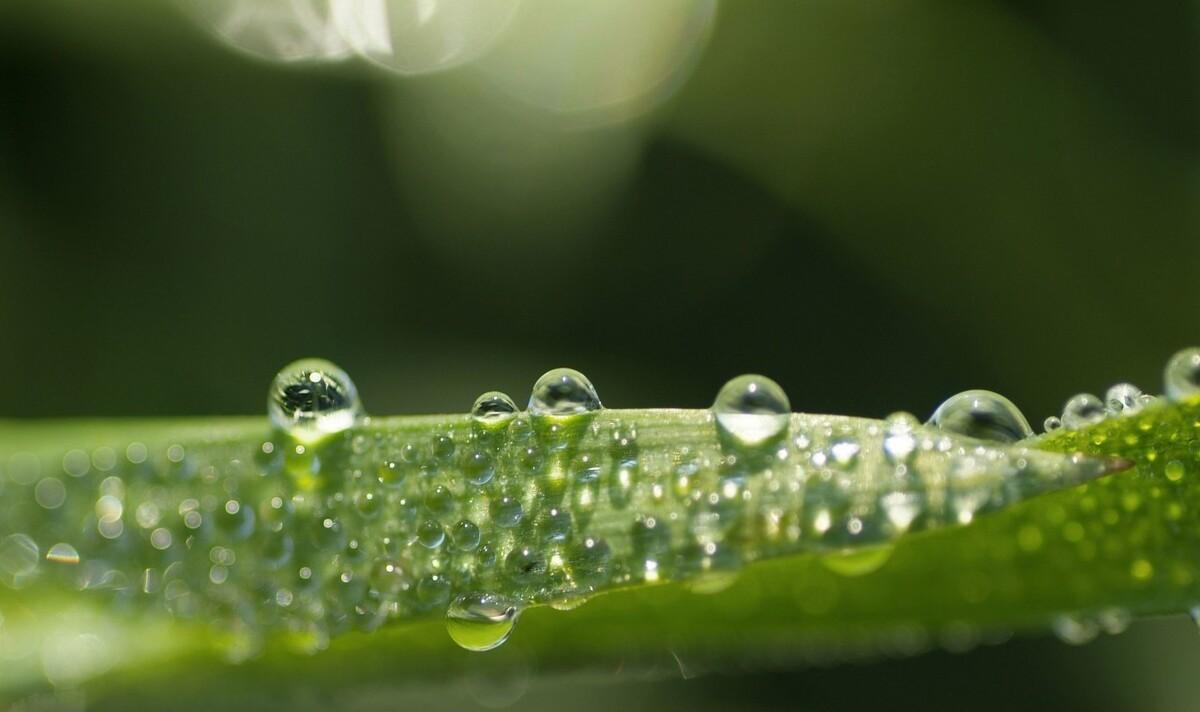 白居易暮江吟全诗解读