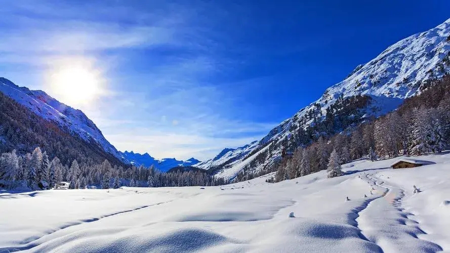 关于雪的唯美诗句大全