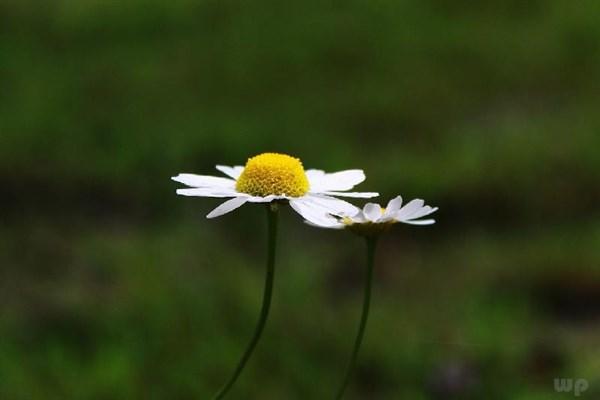 扎心伤感流泪说说短句子