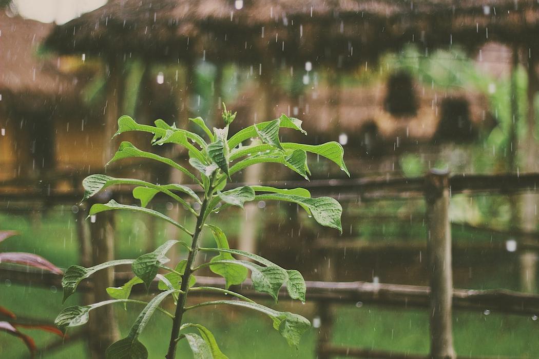 倾盆大雨的解释意思、造句、英文翻译