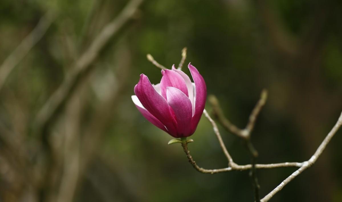 《木兰花慢·可怜今夕月》原文及赏析