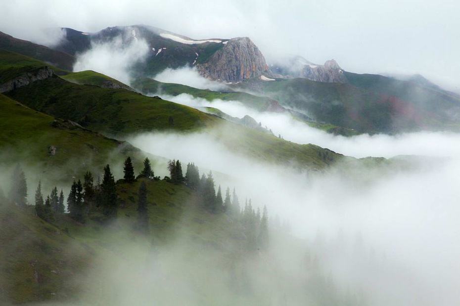 庐山烟雨全诗解读