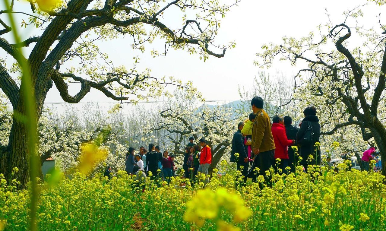 关于人生古诗词鉴赏大全