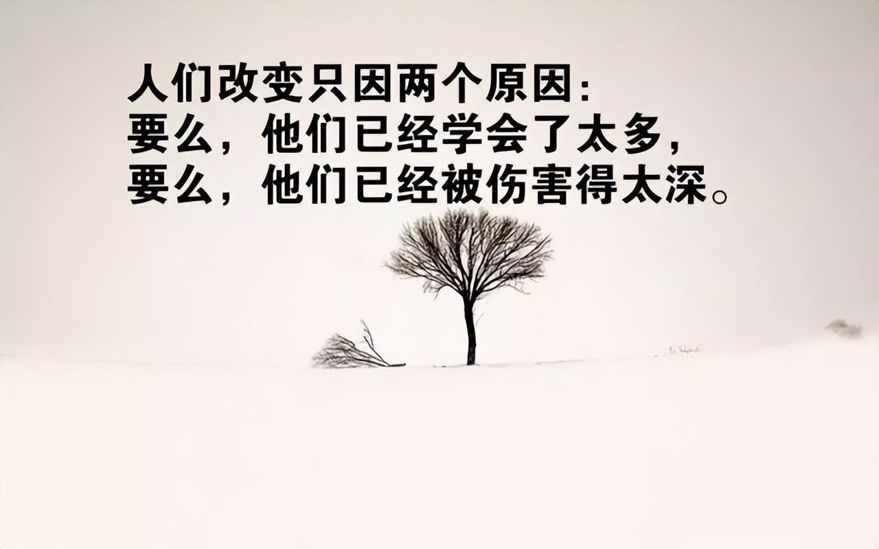 给自己一段人生感悟的说说