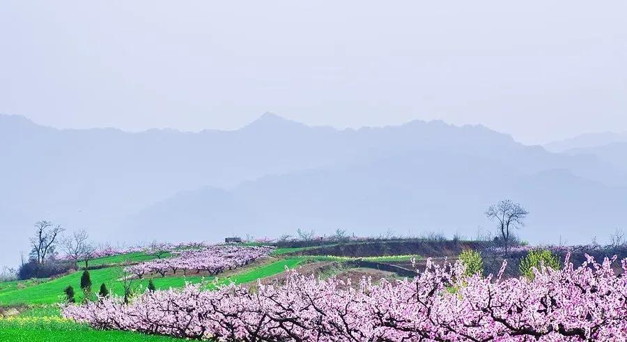 王维的经典山水田园诗