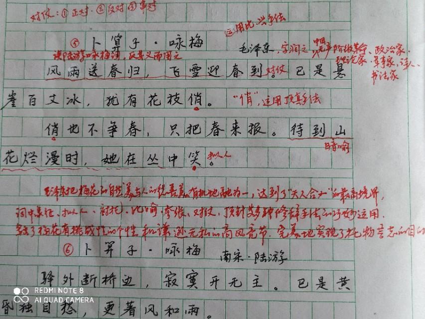 卜算子·咏梅原文及翻译