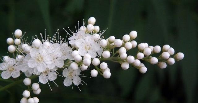 教师节祝福语适合发朋友圈