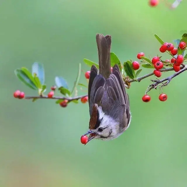 最经典人生感悟哲理语句