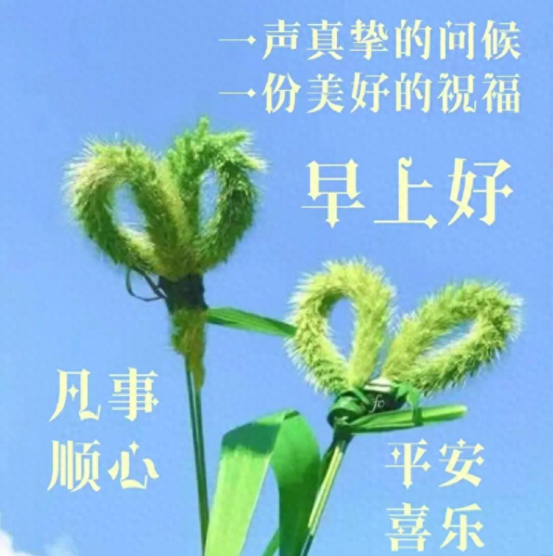 给好朋友的早安祝福短信