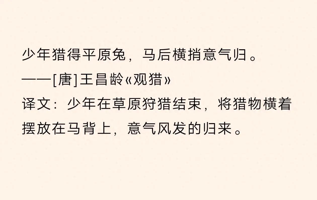 关于少年意气风发的诗句