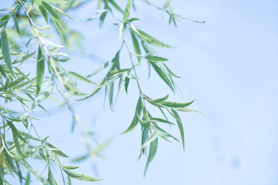 大年初一的古诗词及意思