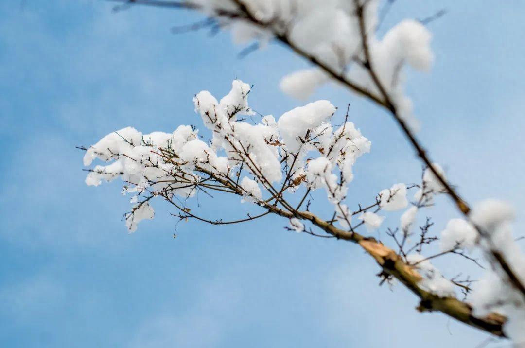 雪的古风诗句