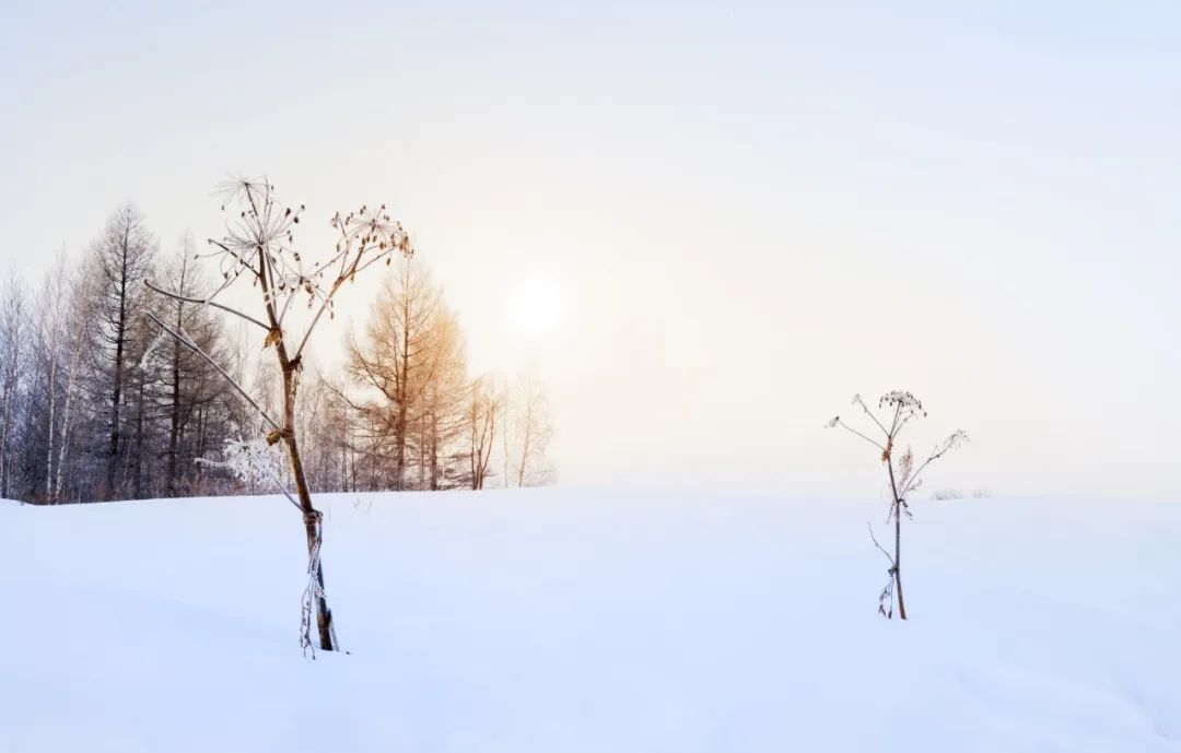 雪的古风诗句