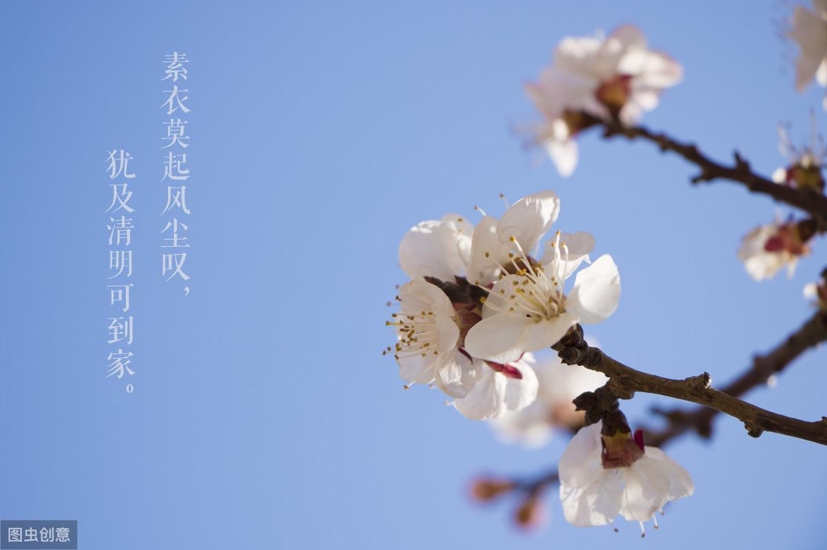 10首清明节的古诗词