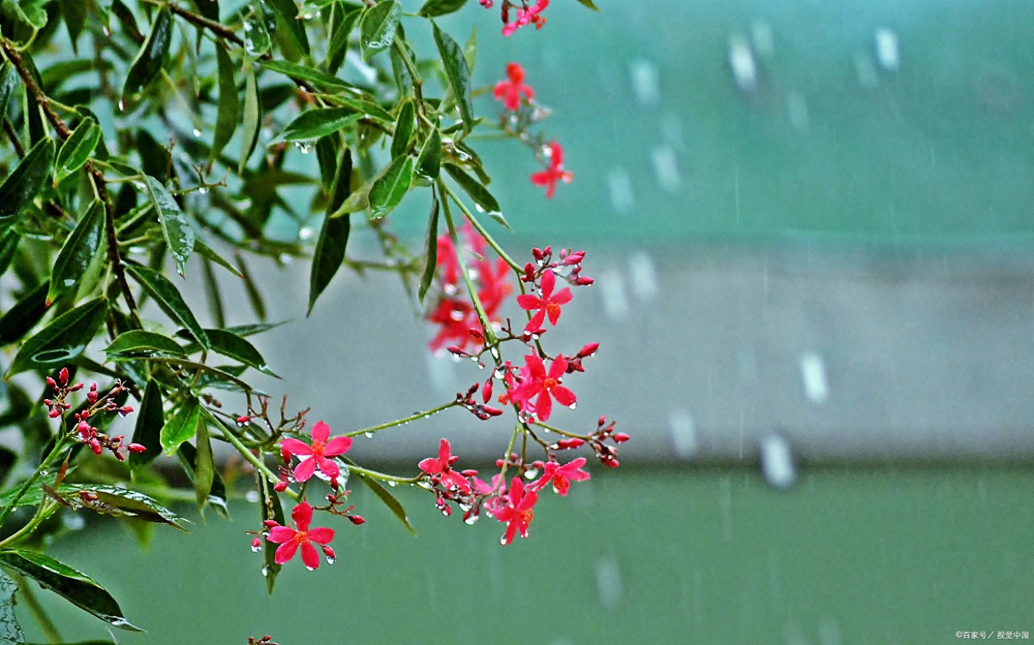 春雨诗词鉴赏