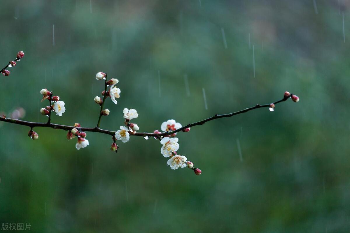 春雨诗词鉴赏