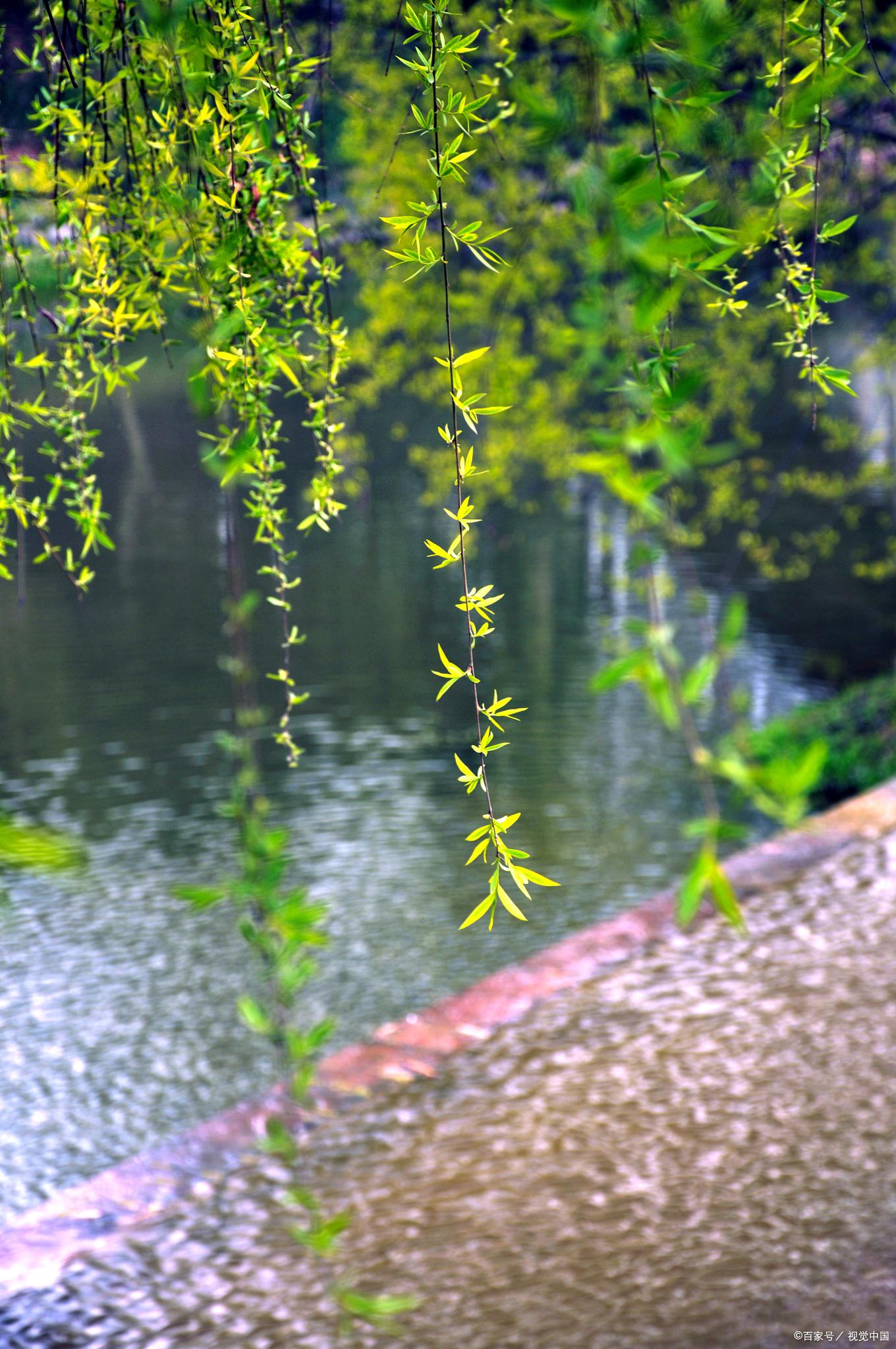 春雨诗词鉴赏