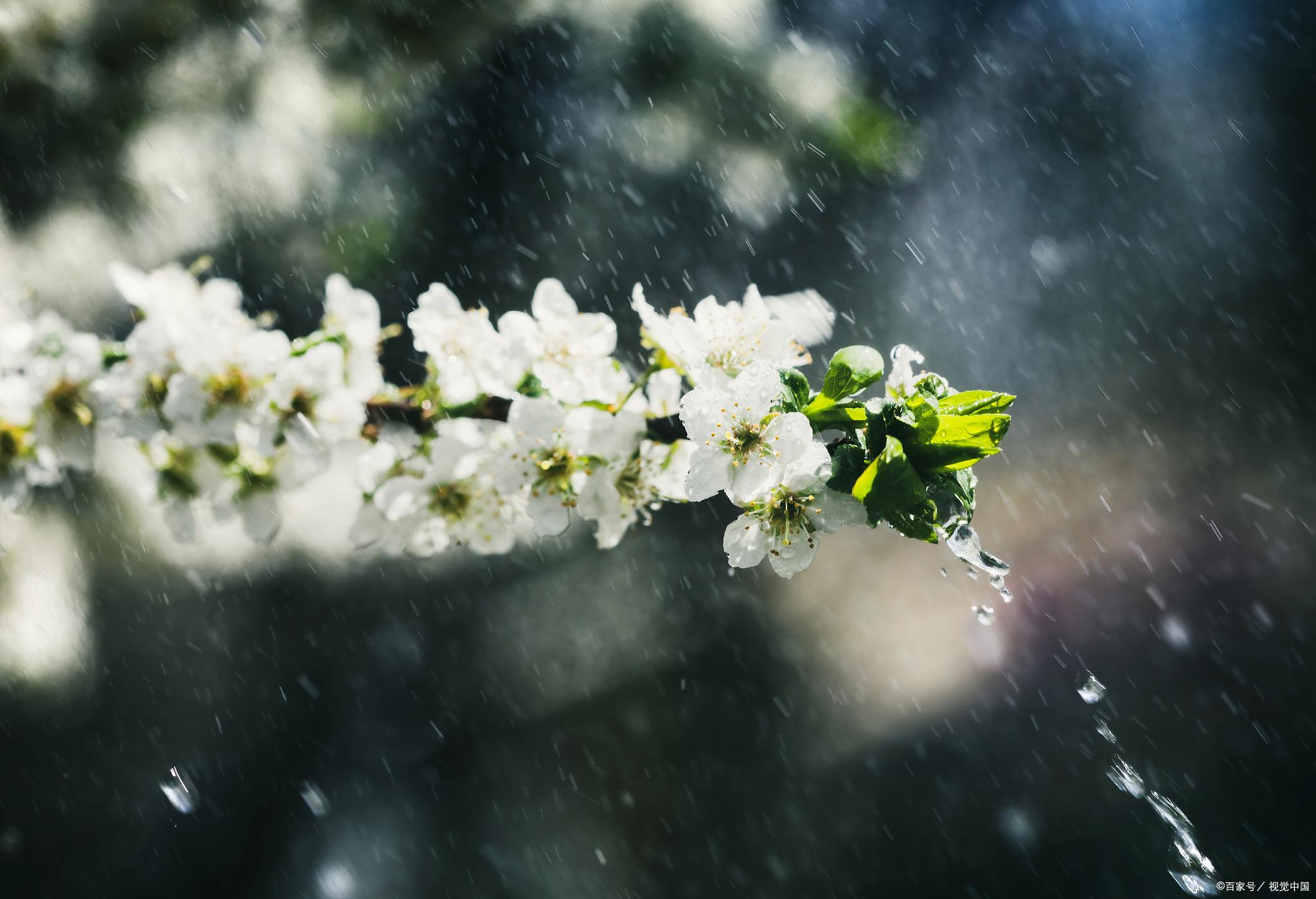 春雨诗词鉴赏