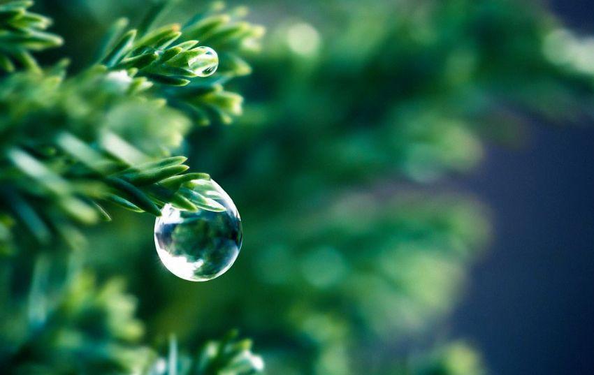 夏日雨后的优美诗词