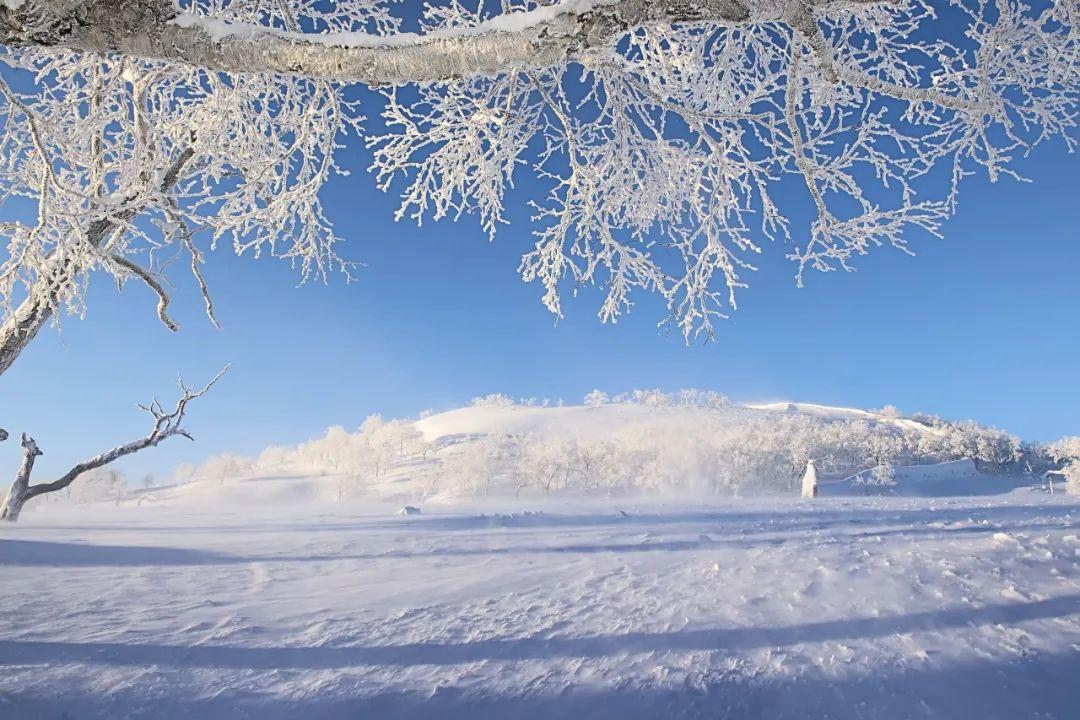 写雪的经典诗词