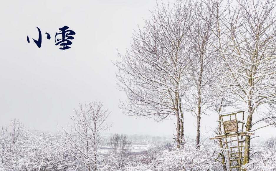 小雪时节的诗词歌赋