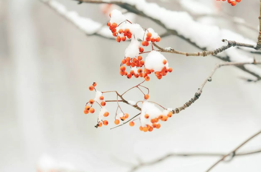 小雪时节的诗词歌赋