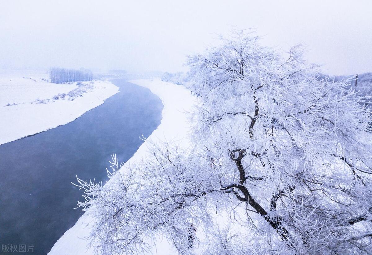 下雪的古诗句