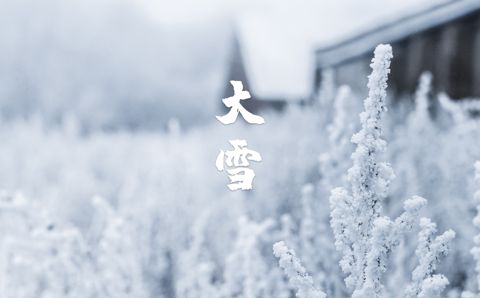 大雪节气的诗词歌赋