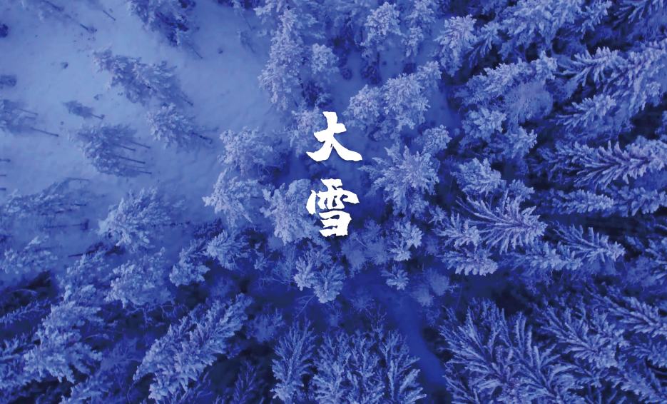 大雪节气的诗词歌赋