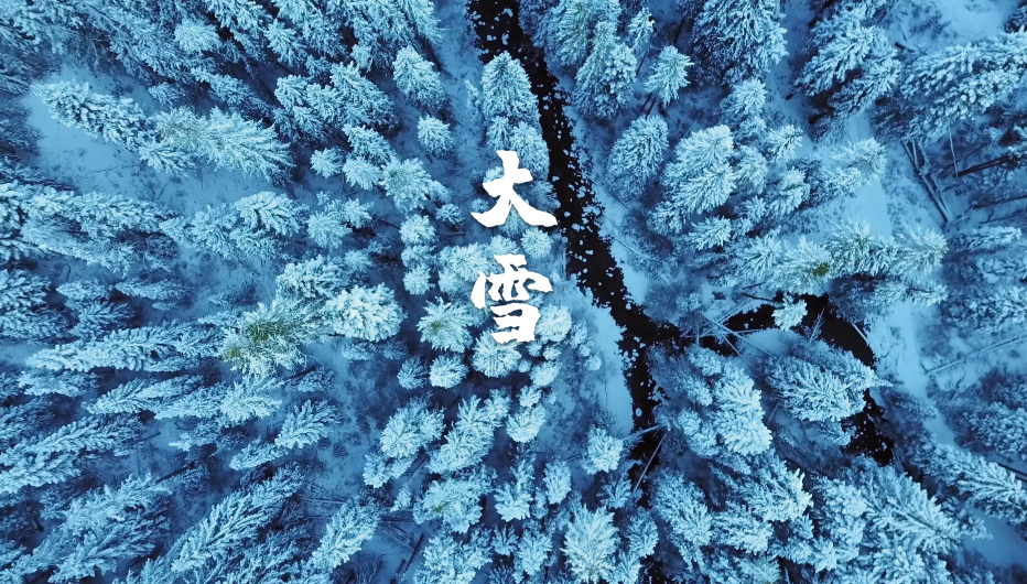 大雪节气的诗词歌赋